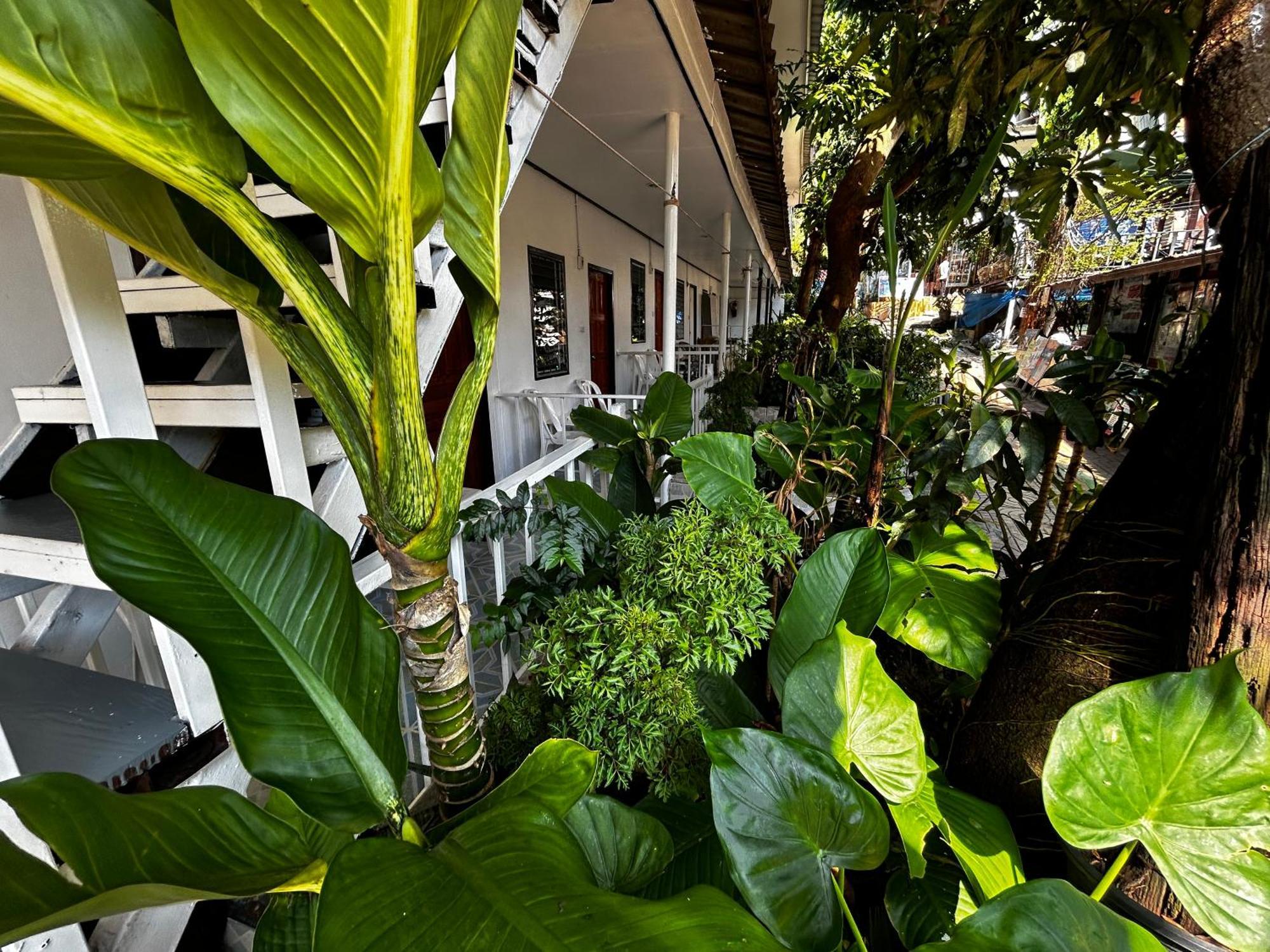 Coco'S Guest House Phi Phi Don Exterior foto